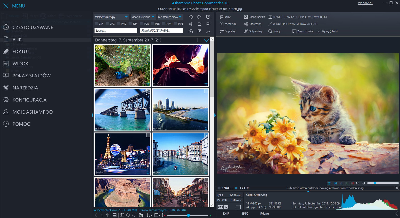 Unlocking the Power of Ashampoo Photo Commander 5